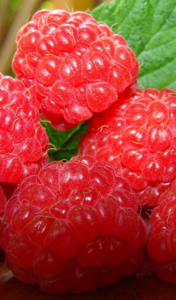 Сладкая малина