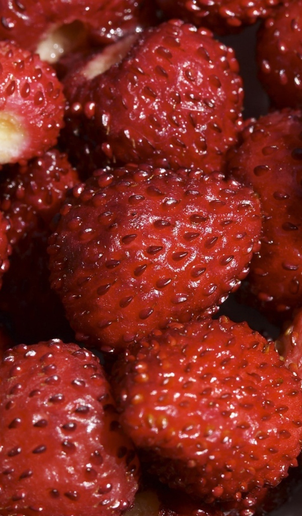 Вкусные ягоды