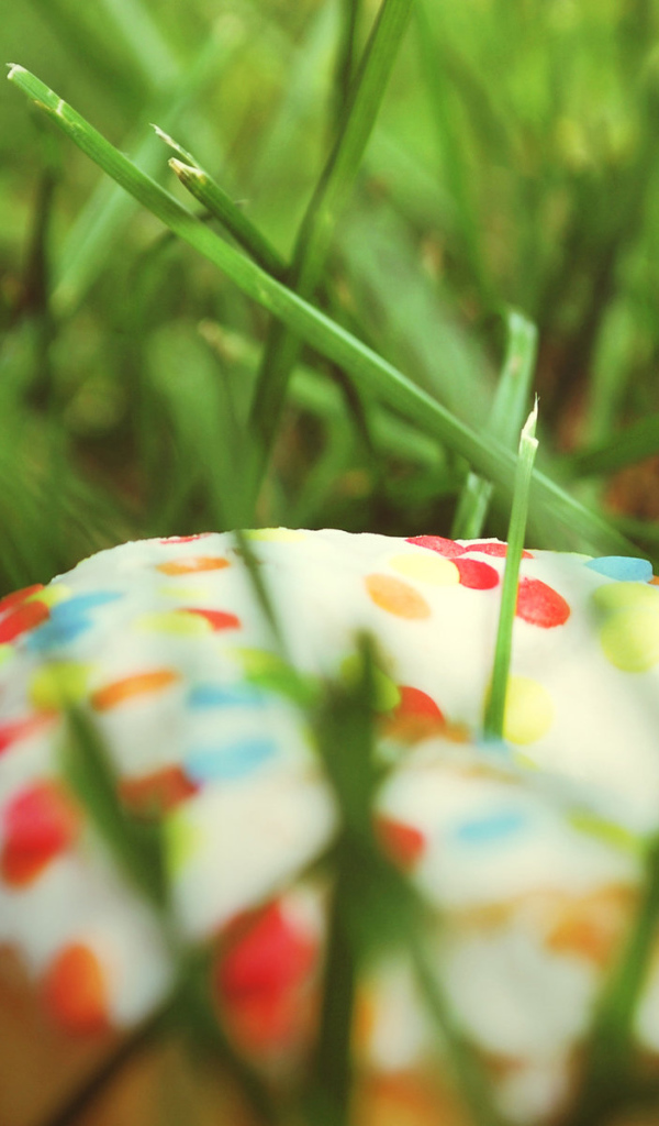 Потерянный пончик