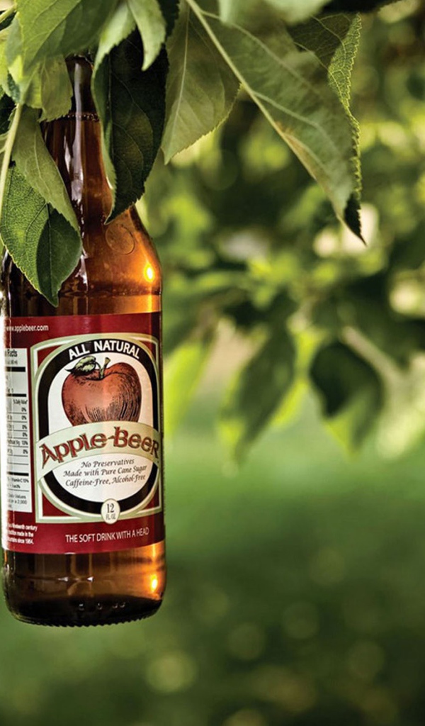 Яблочное пиво