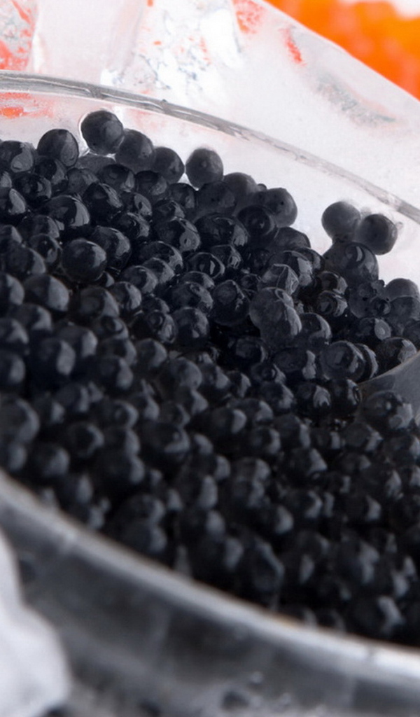 Баночка черной икры