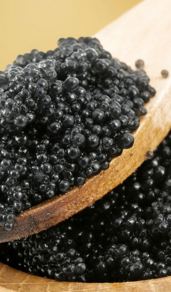 Черная икра