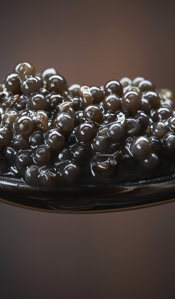 Ложка с икрой