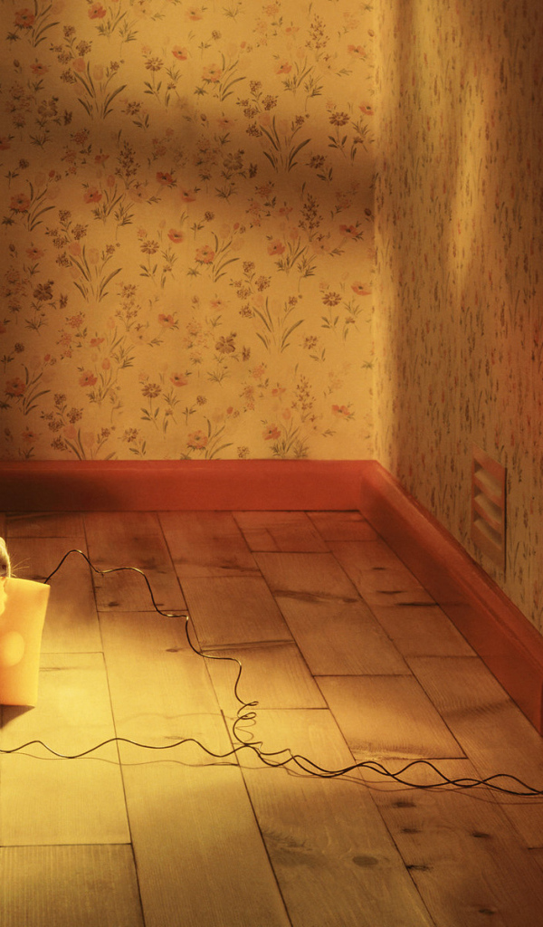 Кошки мышки