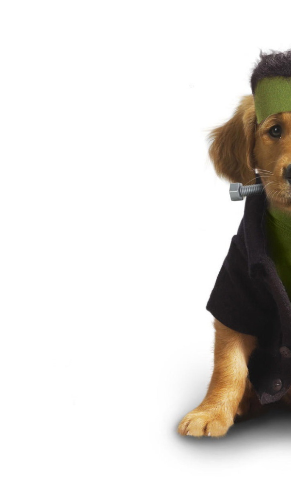 Собачья одежда Сантехник