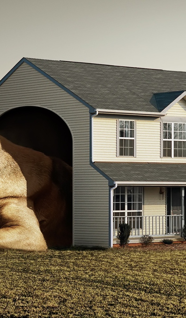 Дом для собаки Будка Конура