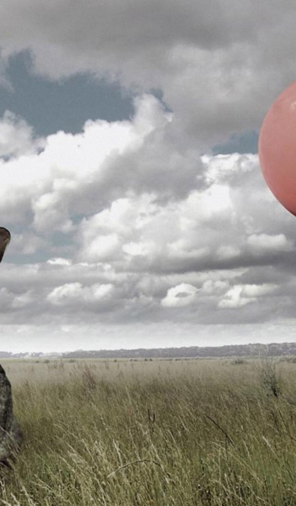 Мгновение до испуга