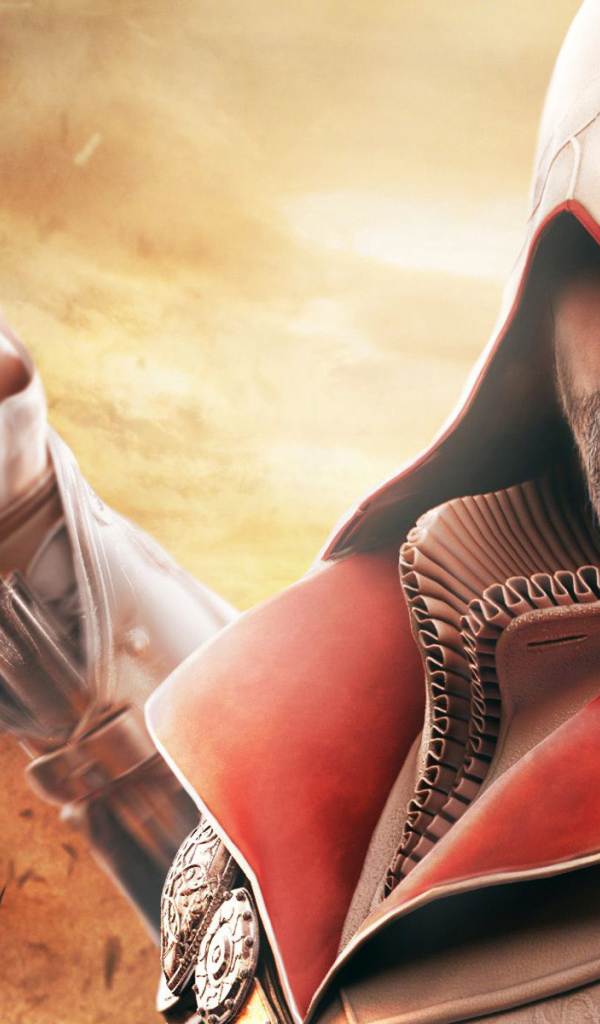 Assassin’s Creed: Brotherhood