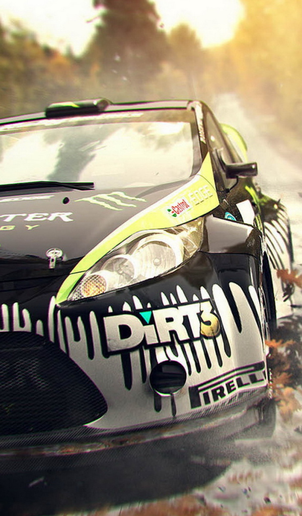 симулятор Colin McRae: Dirt 3