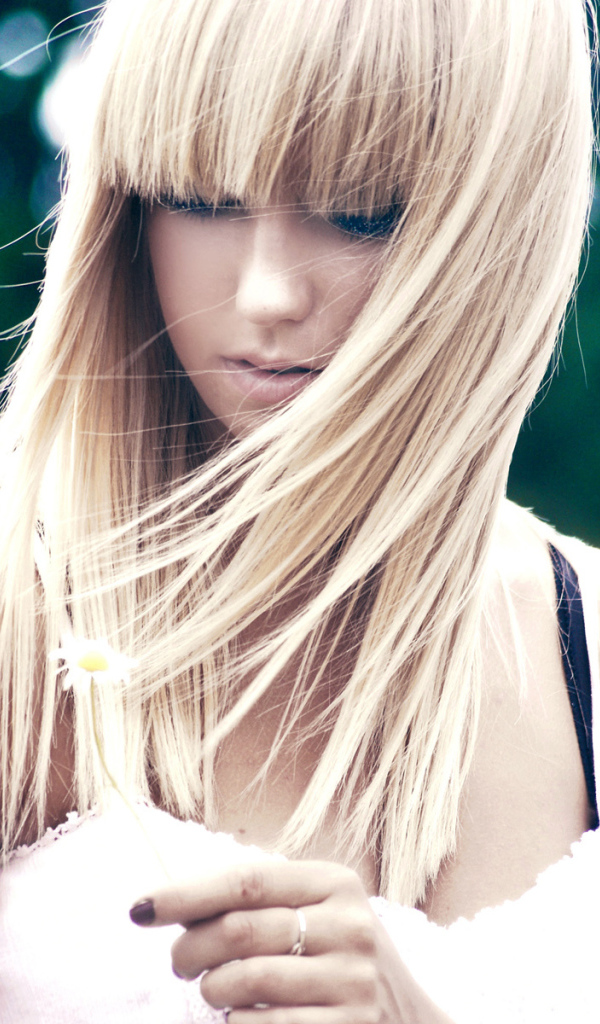 Гадая на ромашке