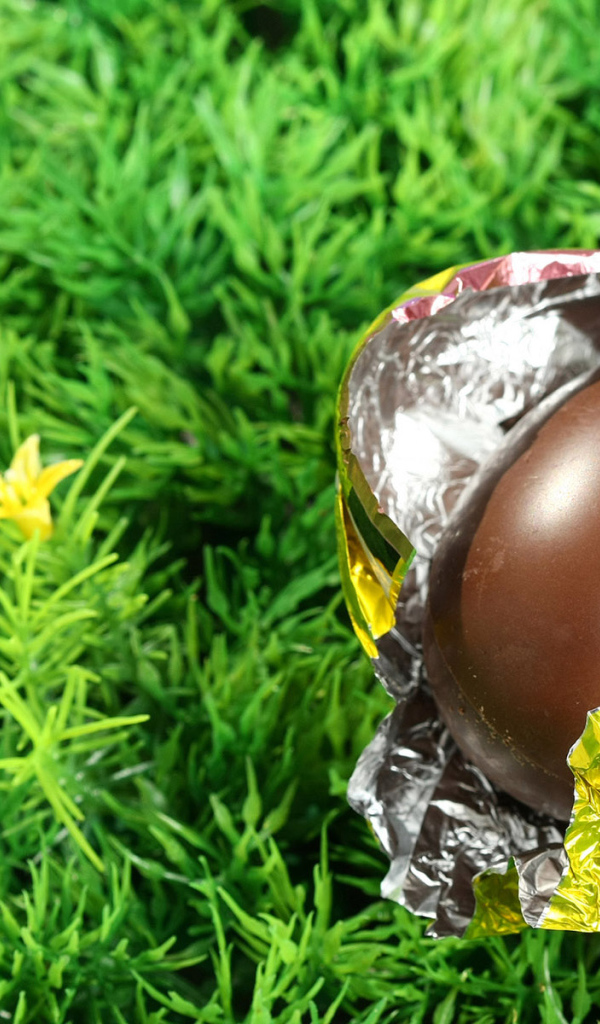 Шоколадное пасхальное яйцо