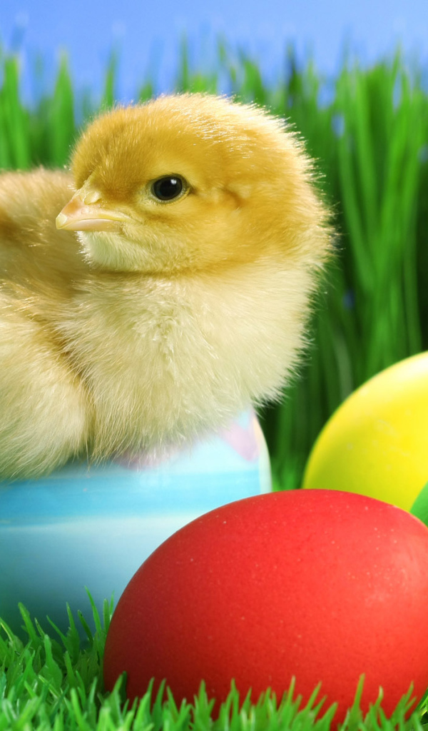 Яйца на Пасху