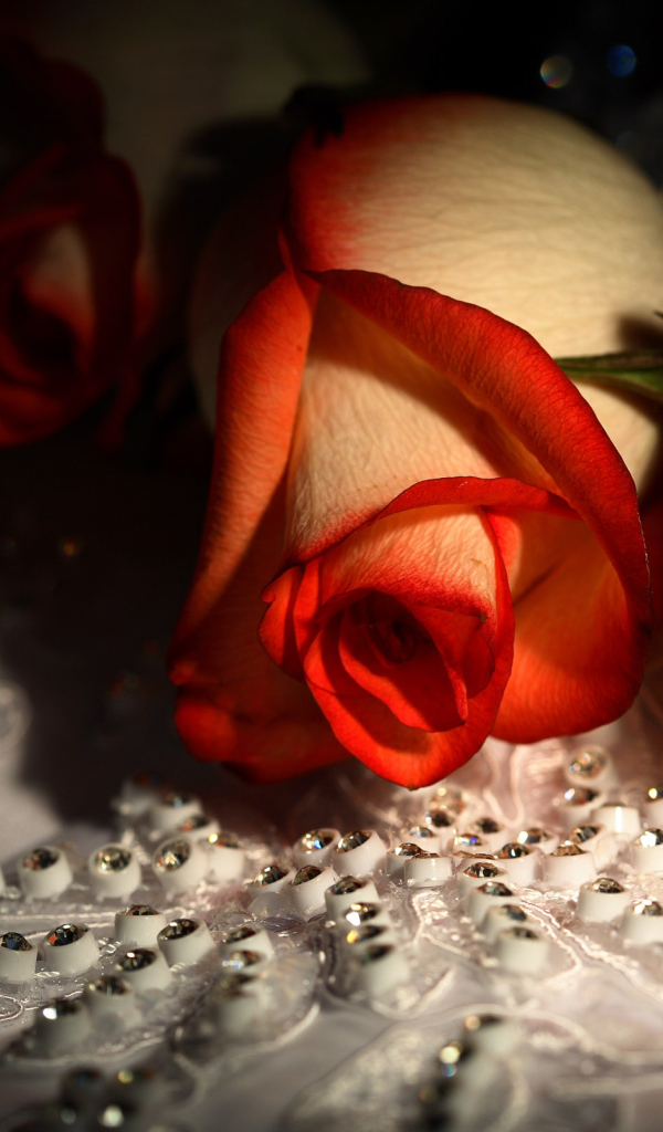 Красивые цветы девушкам