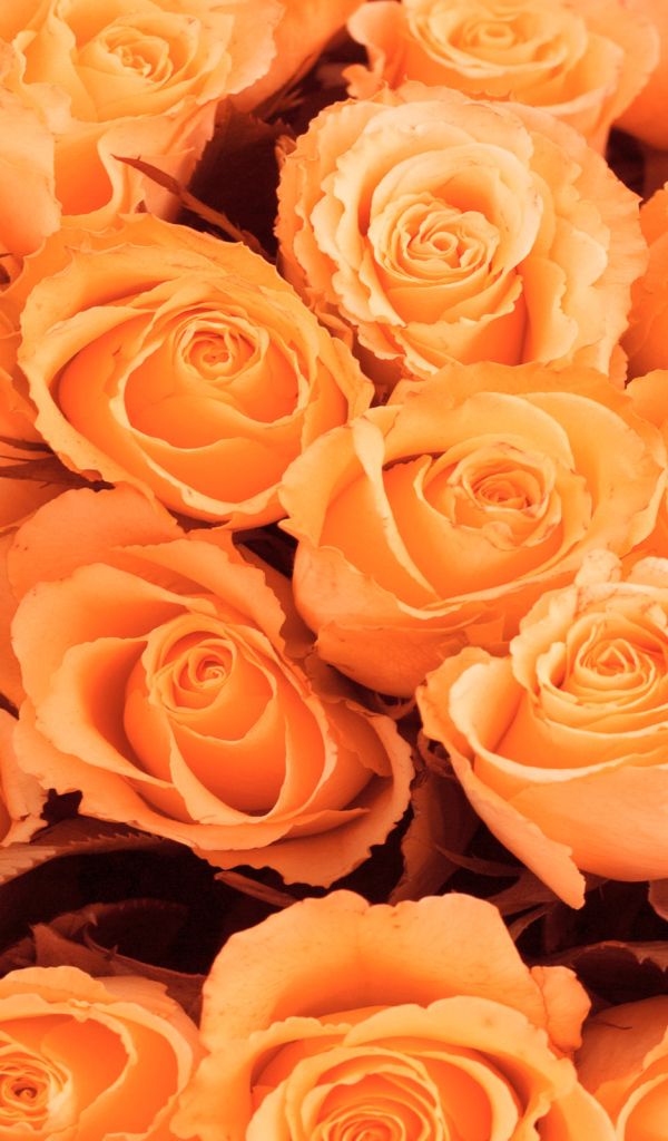 Красивые цветы к 8 Марта