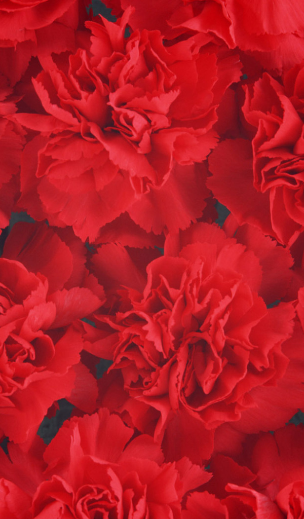 Великий День Победы