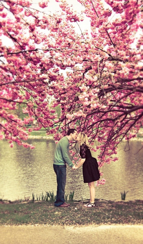 Влюбленные под сакурой