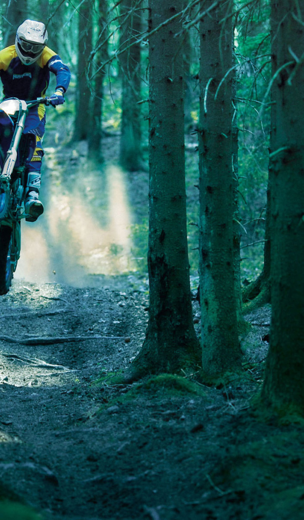 Гонка в лесу