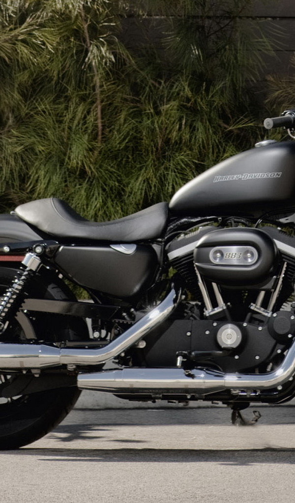 Харлей Девидсон 883