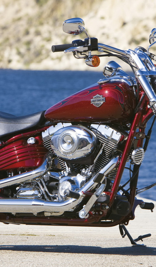 Харлей Девидсон FXCWC