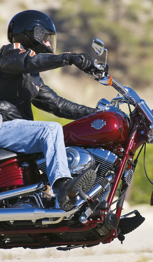 Харлей Девидсон FXCWC