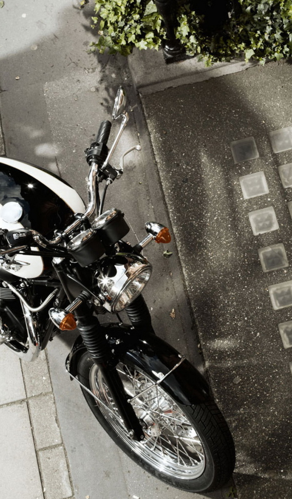 Новый Триумф Бонневелле