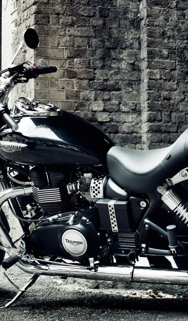 Triumph Speedmaster 2010