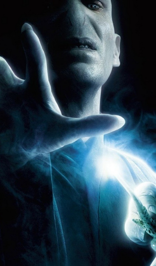 Гарри Поттер, Волан де Морт