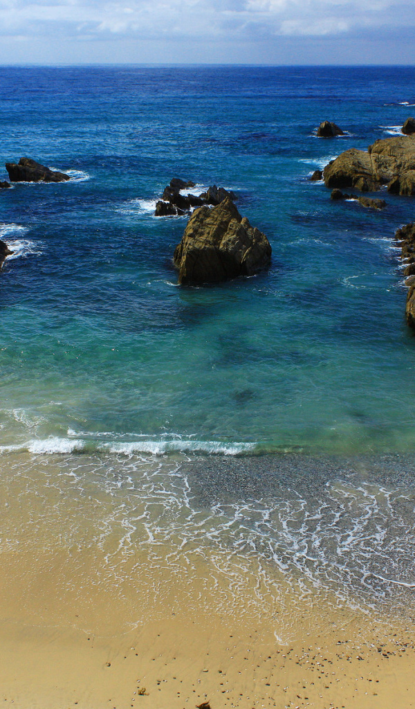 На берегу моря