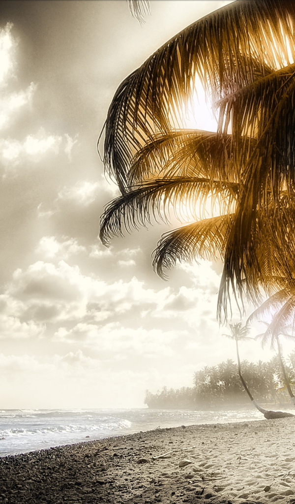 Пляж и пальмы