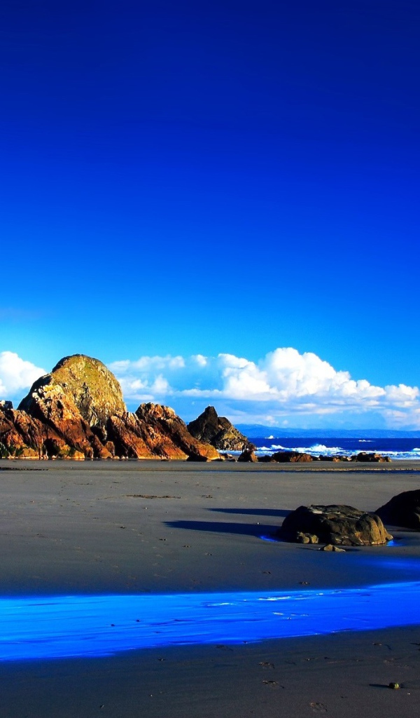 Яркие краски побережья