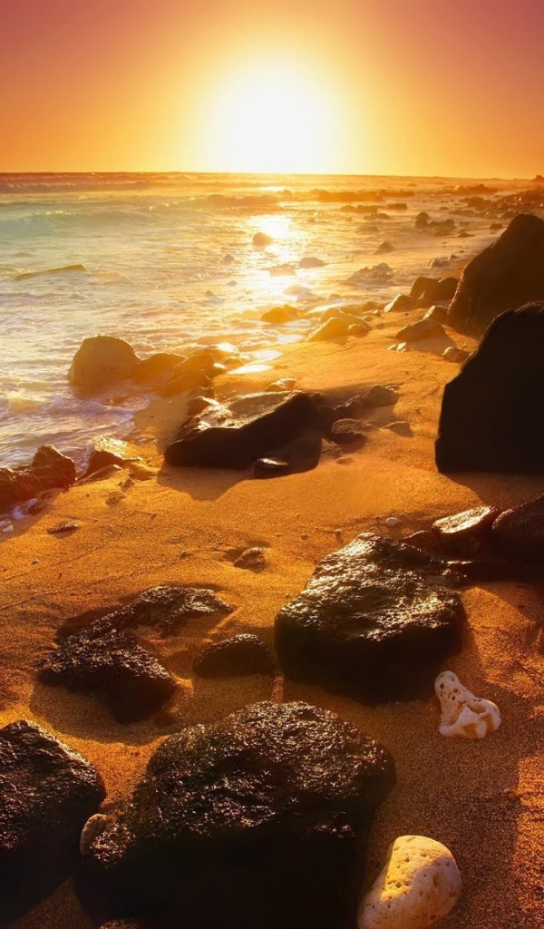 Заброшенный пляж