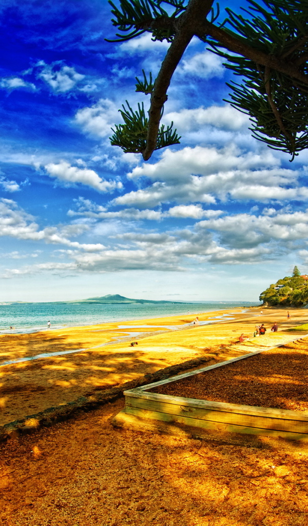 В тени деревьев