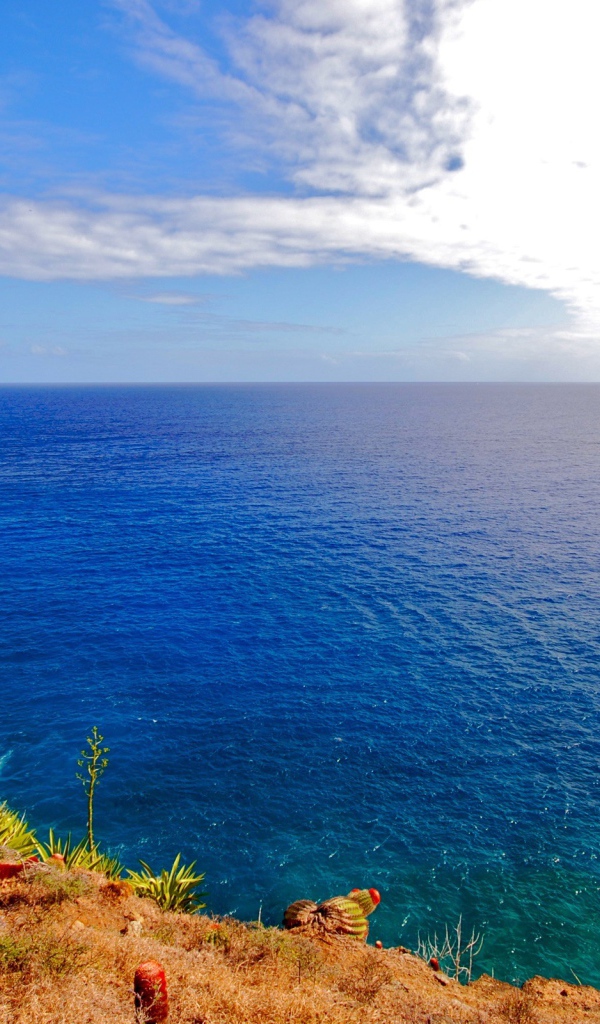 Средиземное море