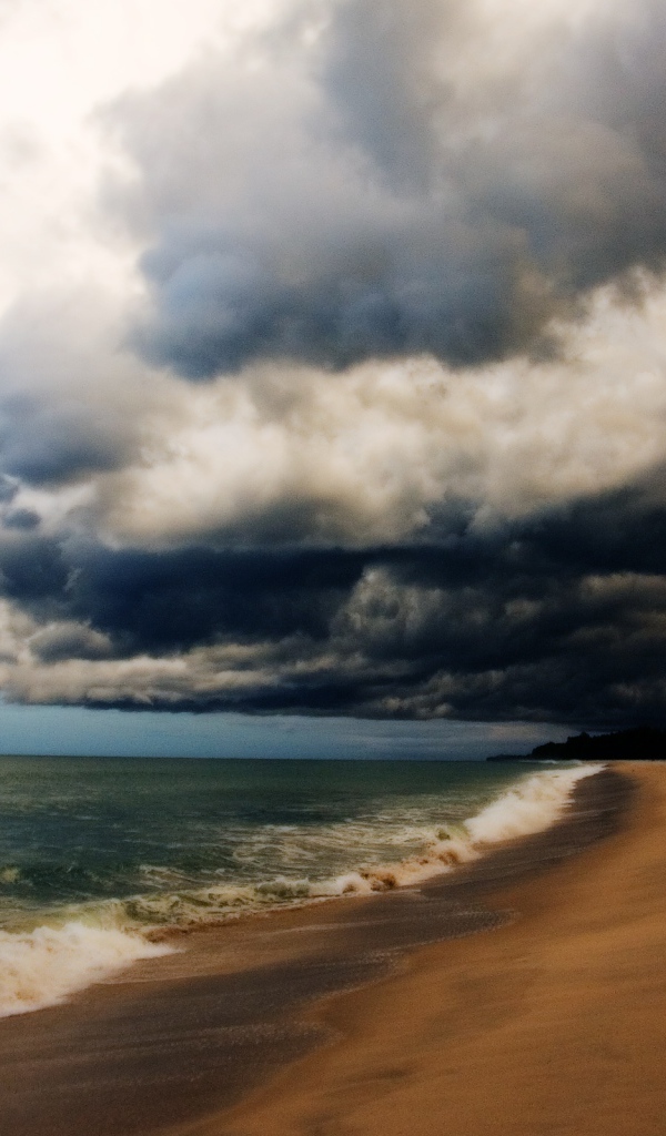 На пляже после шторма