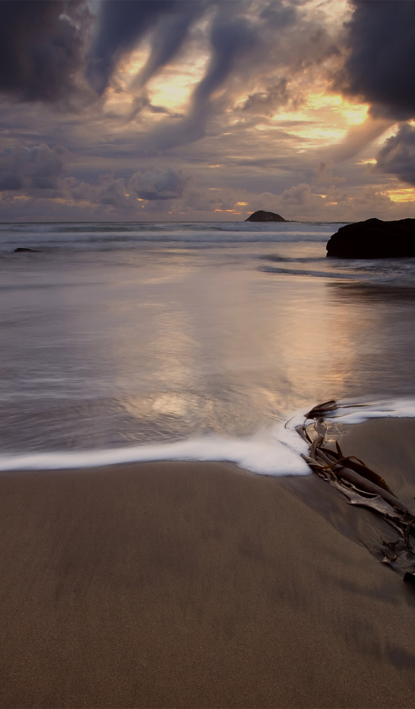 На морском берегу