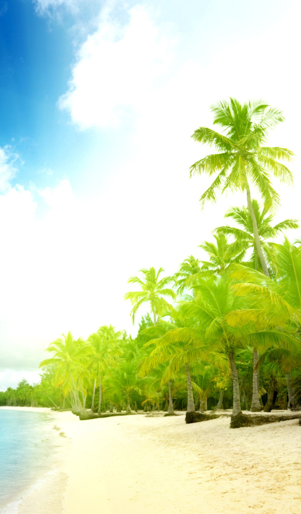 Пальмы на пляже
