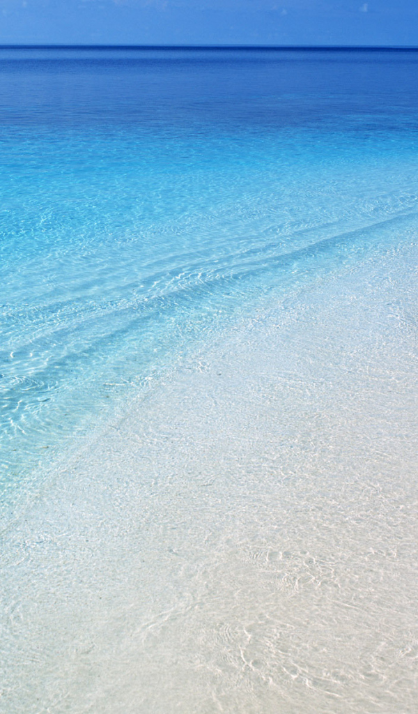 Лучезарный берег