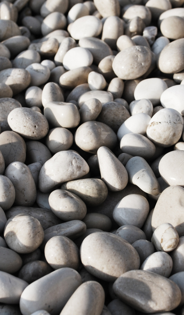 Морская галька