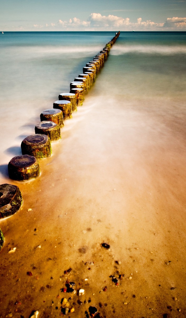 Морское побережье