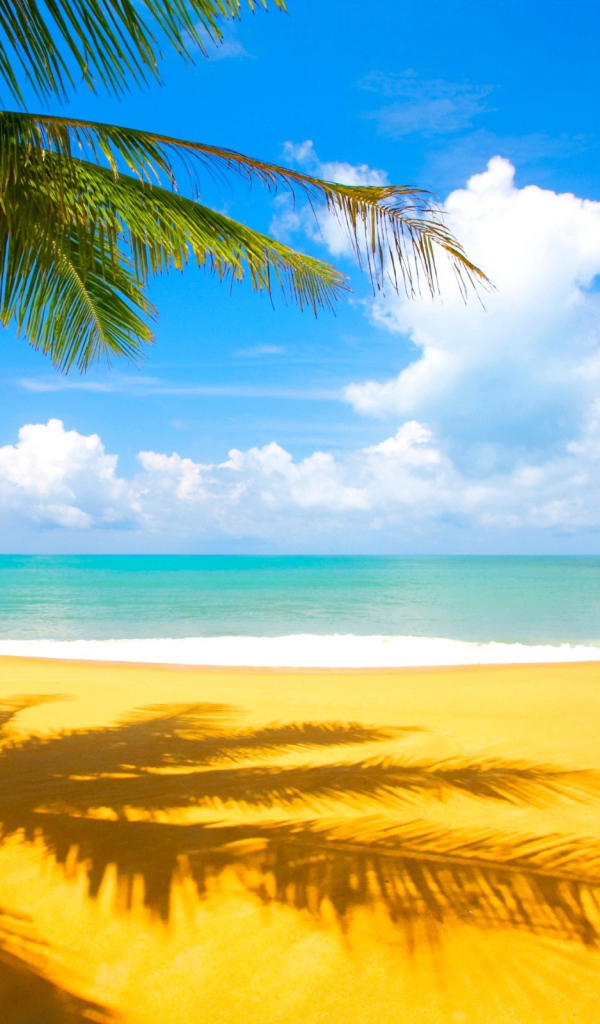 Желтый пляж