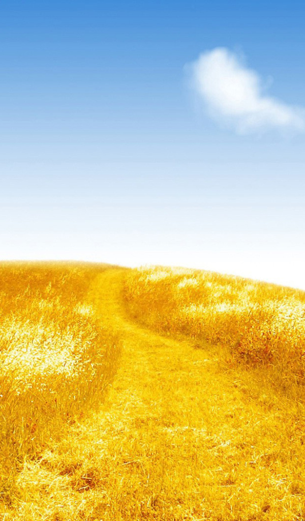 Золотистое поле