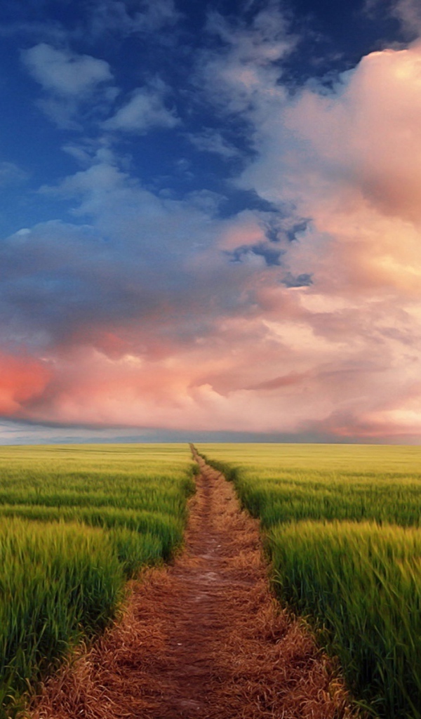 Тропинка через поле