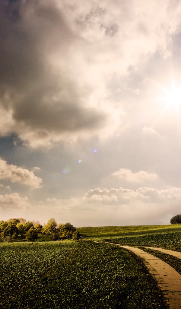 Дорога в поле