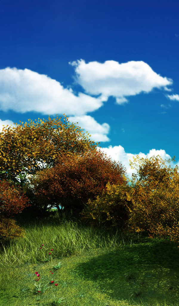 Кустарники на фоне голубого неба