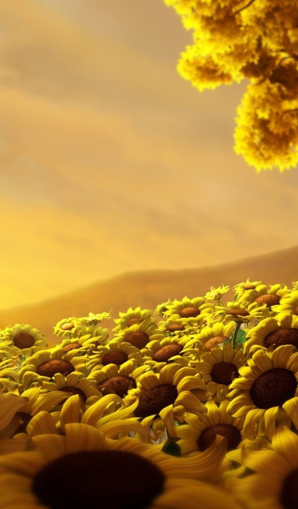 Страна подсолнухов