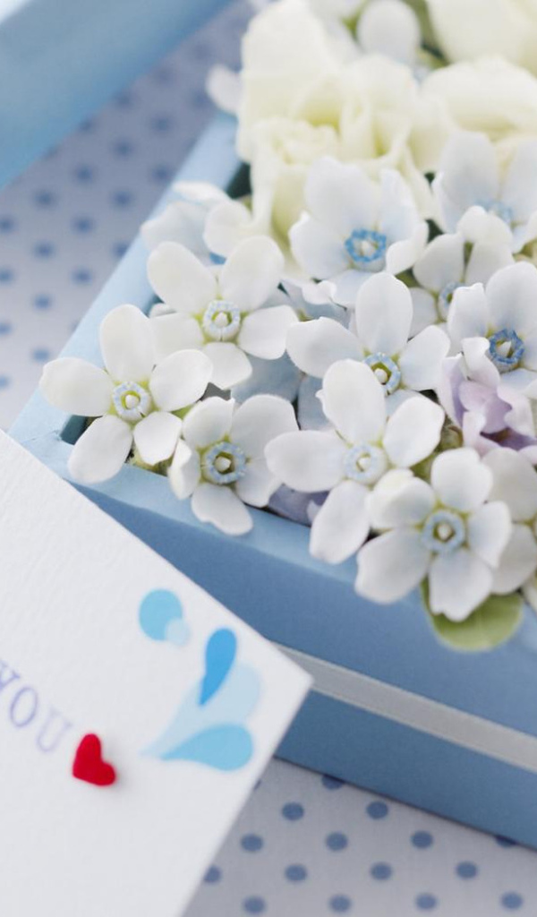 Цветочки в подарок