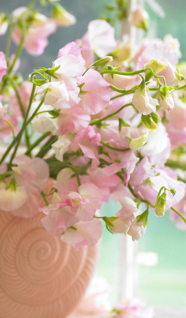 Цветы в розовой вазе