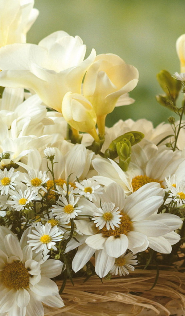 Нежный букет