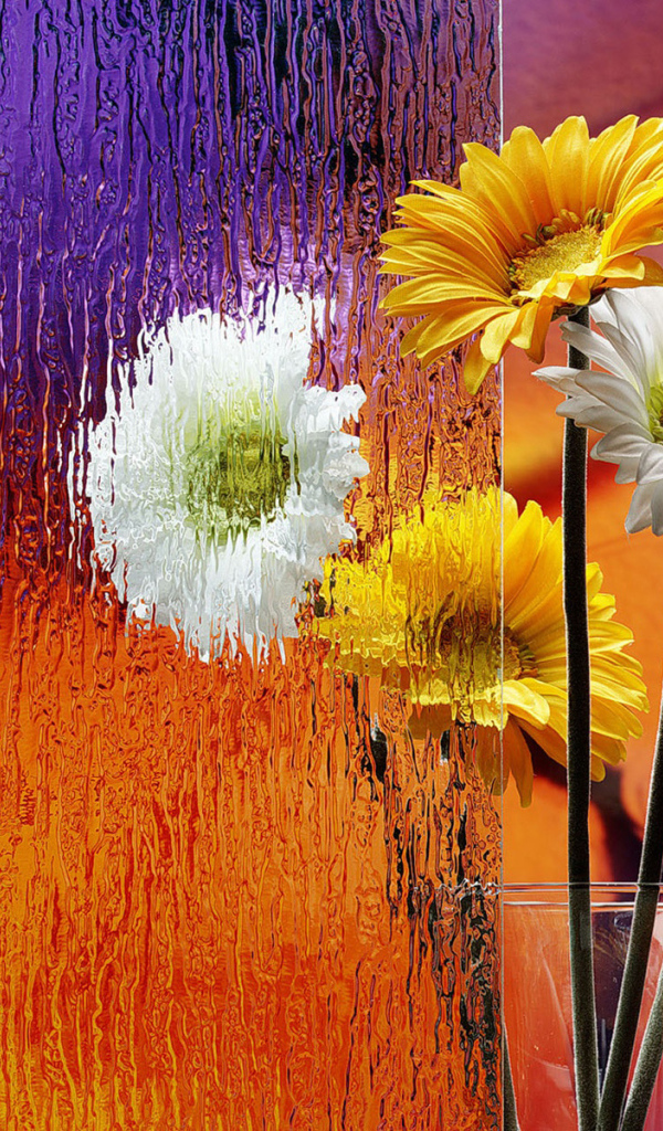 Герберы в вазе