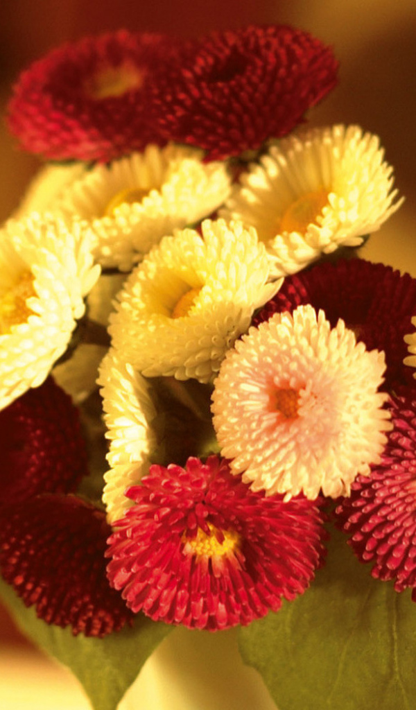 Маленький букетик